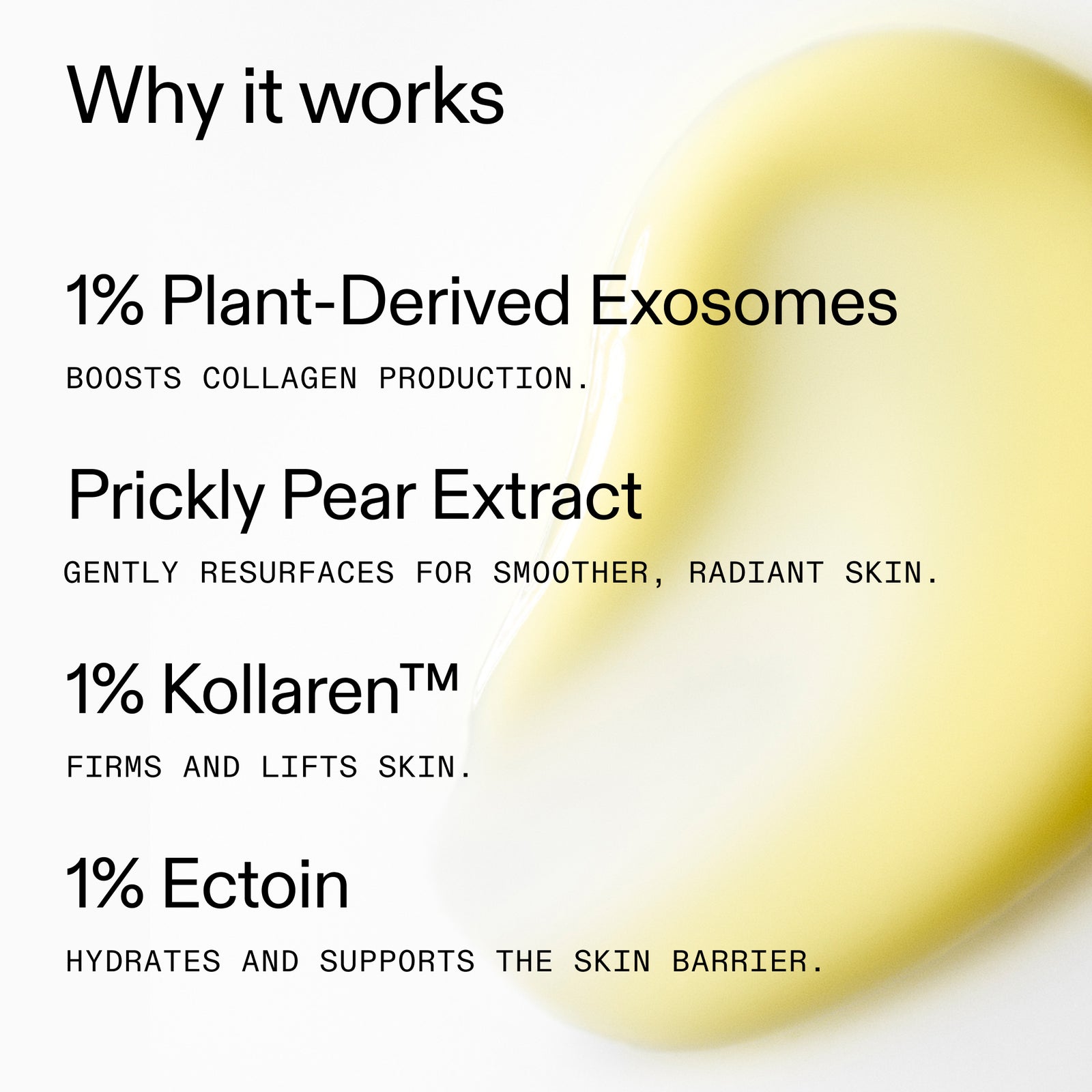 Ingredients in Exosome Hydro-Glow Complex
